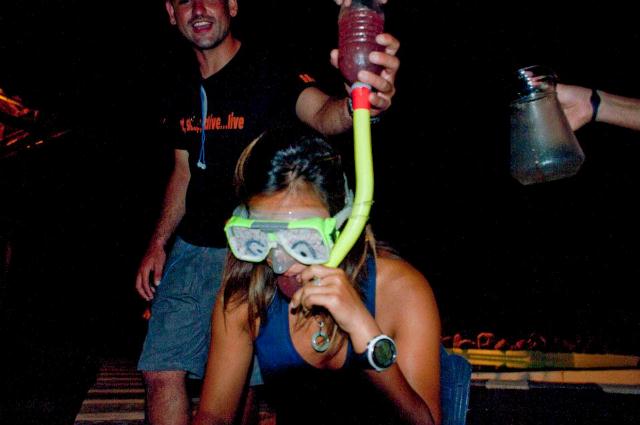 divemaster internship