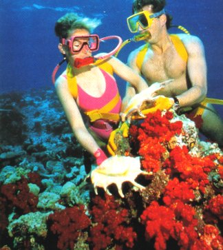 diving is cool...right??