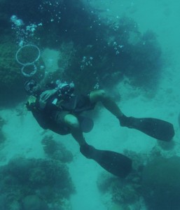 Fun Diving