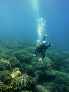 Fun Diving