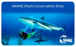 Project AWARE Shark Conservation