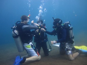 Our Latest Blog