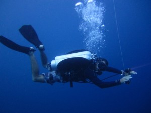 our latest blog