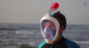 Full face snorkel