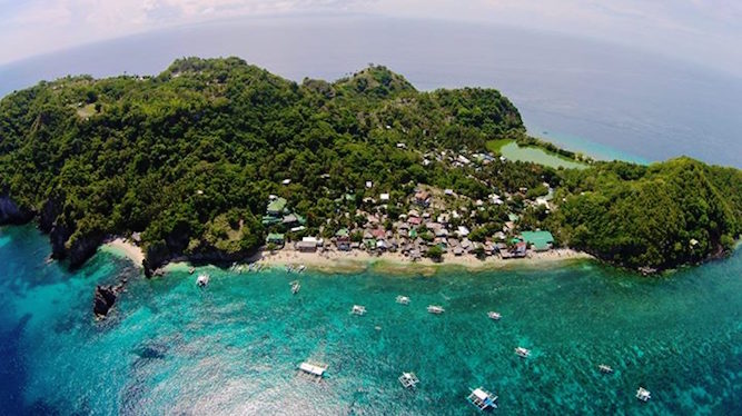 Image result for Apo Island