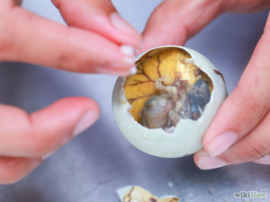 balut